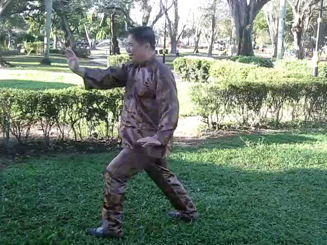 Sun Style Taijiquan